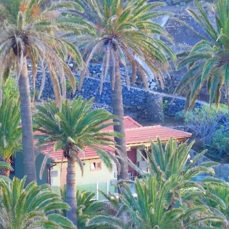 El Pirguan Holiday House, Your Oasis In La Gomera 巴列埃尔莫索 外观 照片