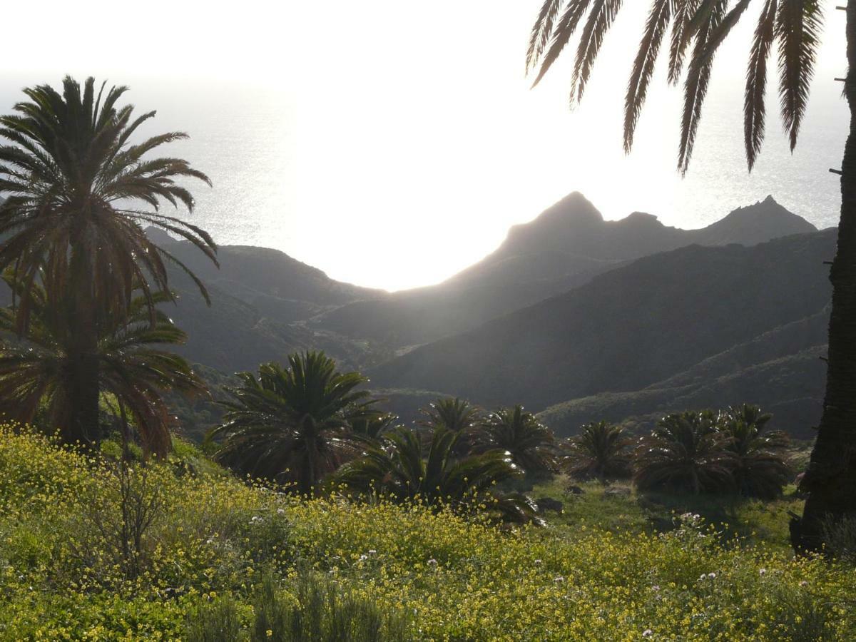 El Pirguan Holiday House, Your Oasis In La Gomera 巴列埃尔莫索 外观 照片