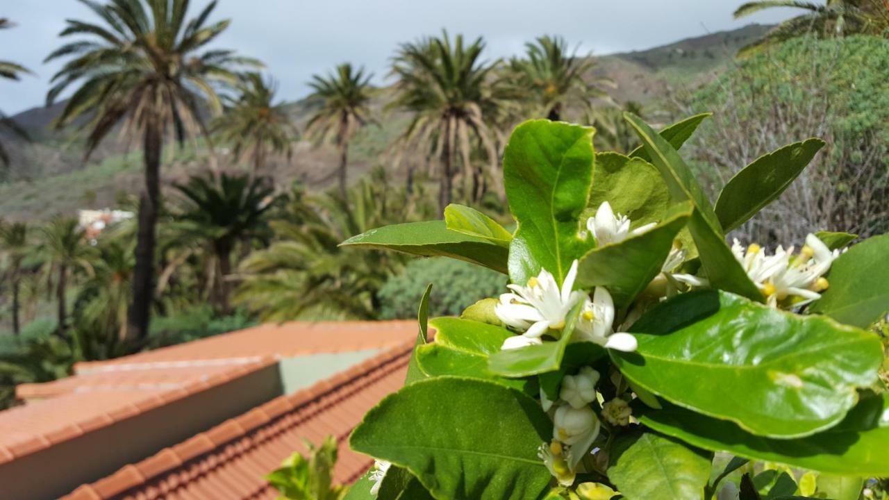 El Pirguan Holiday House, Your Oasis In La Gomera 巴列埃尔莫索 外观 照片