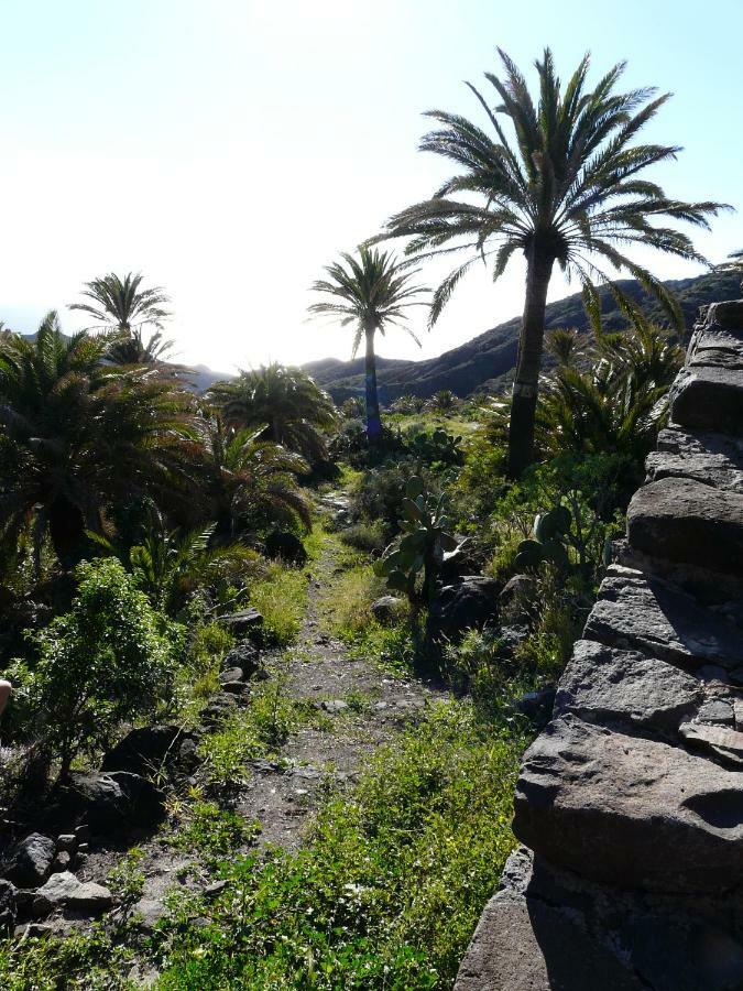 El Pirguan Holiday House, Your Oasis In La Gomera 巴列埃尔莫索 外观 照片