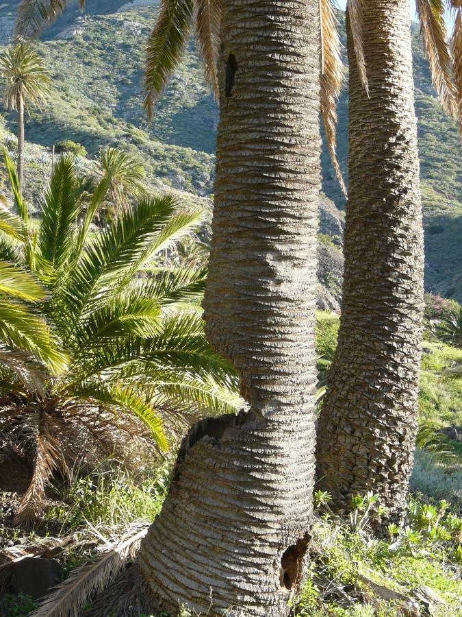 El Pirguan Holiday House, Your Oasis In La Gomera 巴列埃尔莫索 外观 照片