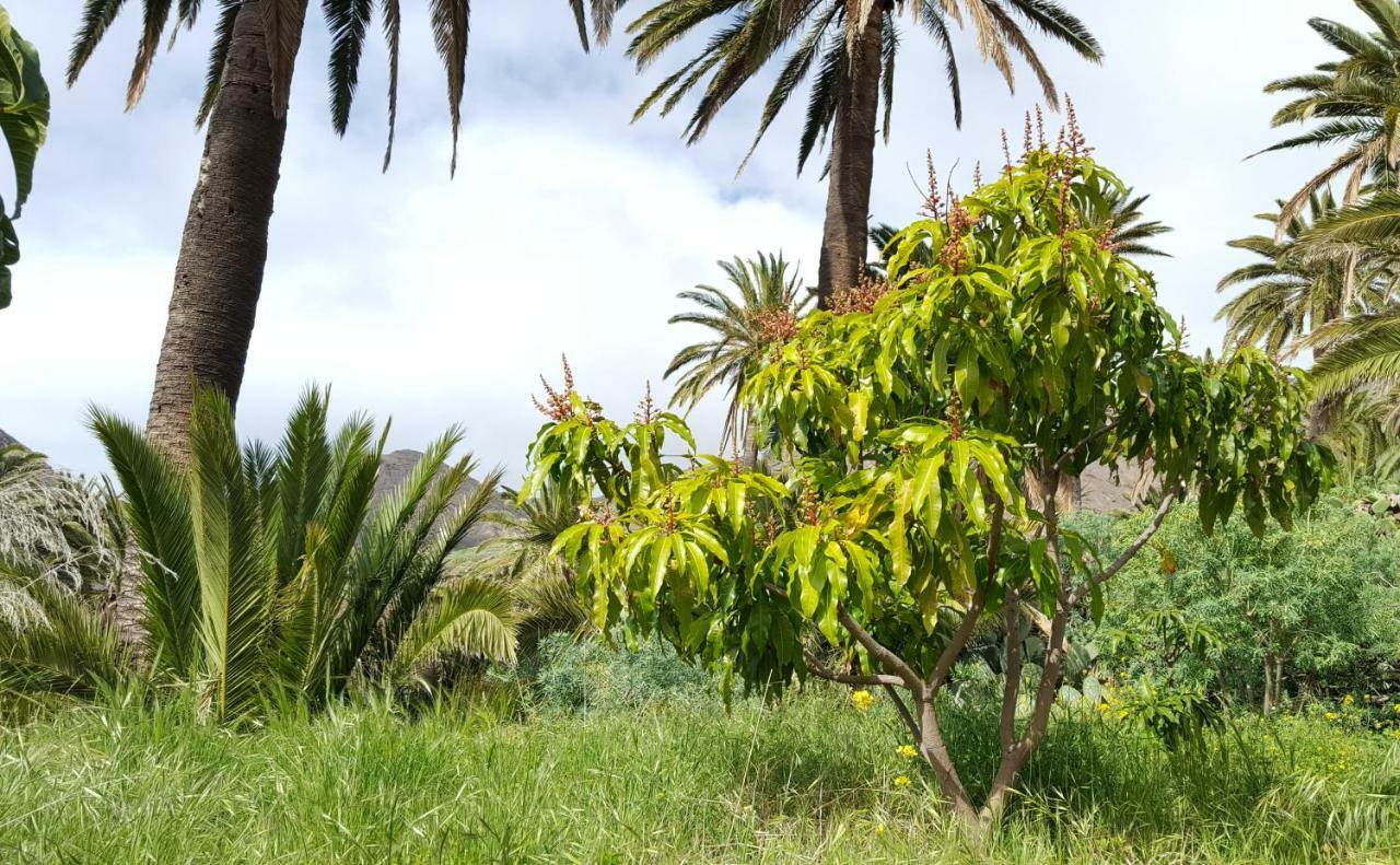 El Pirguan Holiday House, Your Oasis In La Gomera 巴列埃尔莫索 外观 照片