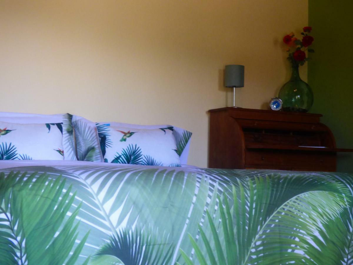 El Pirguan Holiday House, Your Oasis In La Gomera 巴列埃尔莫索 外观 照片